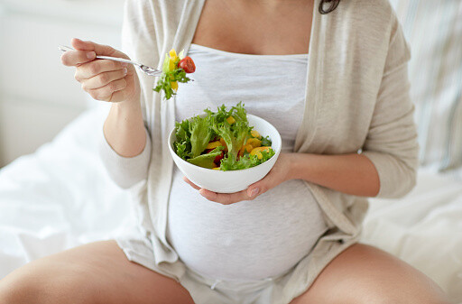Alimentación